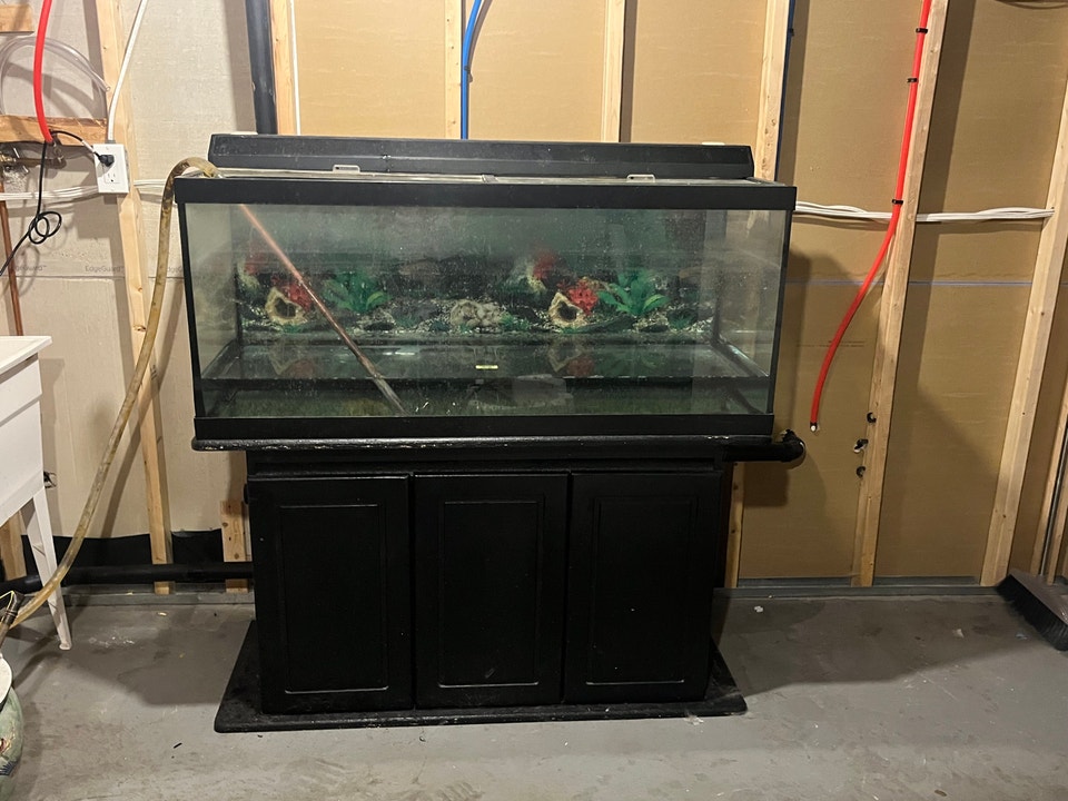 4ft fish tank with aqual 70 filter and stand | Accessories | Markham ...
