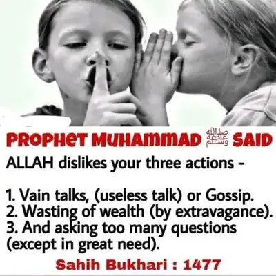 cook for pizza store , View more