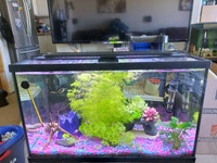 10 gallon aquarium complete kit