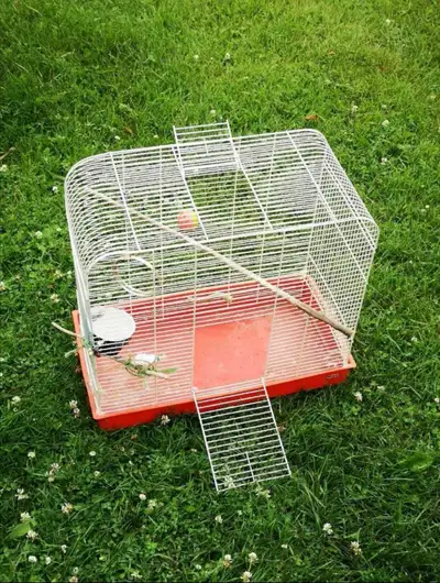 budgie cage , View more