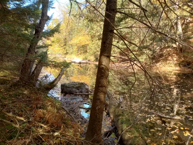 Waterfront Lot appx 3.4 AC in Nipissing Ont. year-round road in Land for Sale in North Bay - Image 4