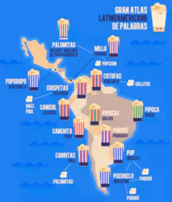 Spanish tutor. Native speaker. Private lessons in Classes & Lessons in Saint John - Image 10