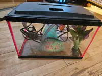 Glo Fish Tank
