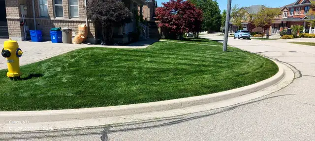 Grass Cutting/Yardcleanups