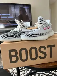 adidas YEEZY 350 Zebra’s