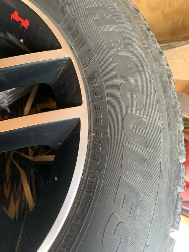 snow tires! in Tires & Rims in Kingston - Image 4
