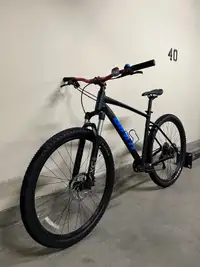 Mountain Bike 2021