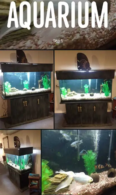 Aquarium complet avec meuble à vendre, View more