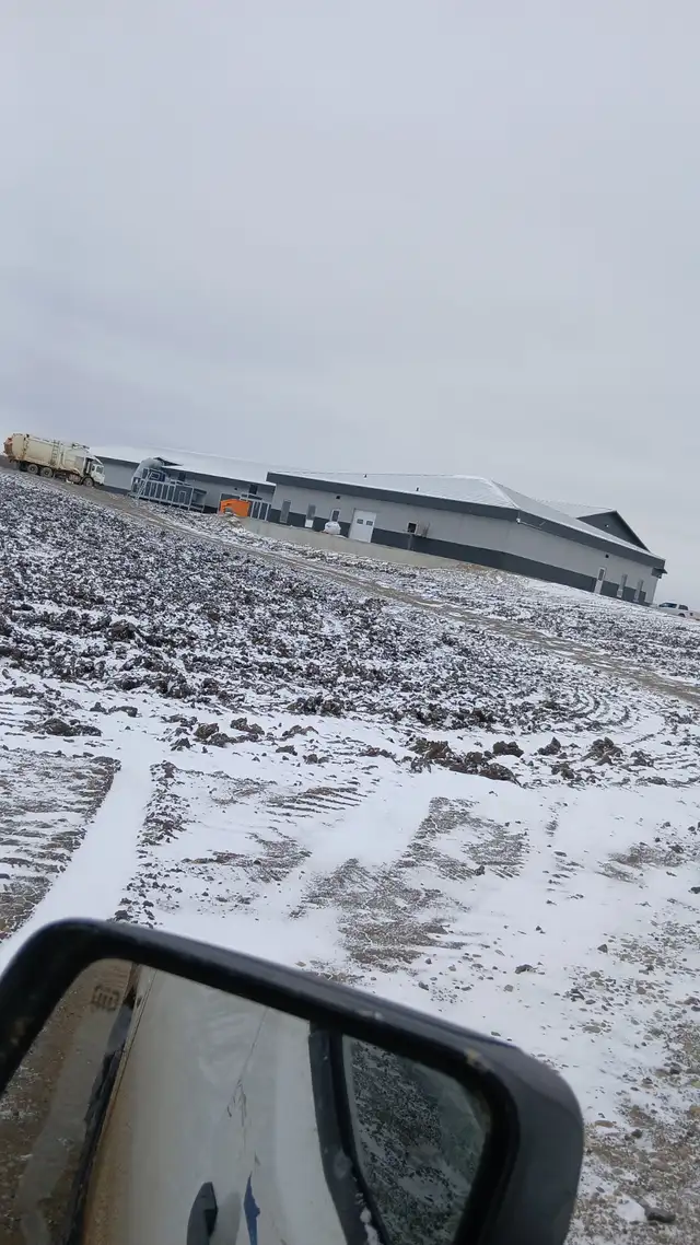 Attic insulation in Insulation in Strathcona County - Image 4