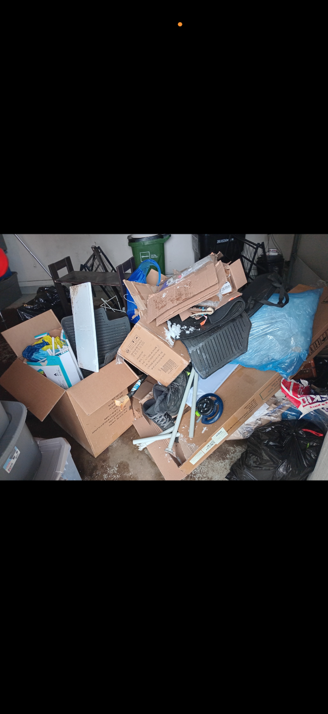 JUNK REMOVAL438828285339248642