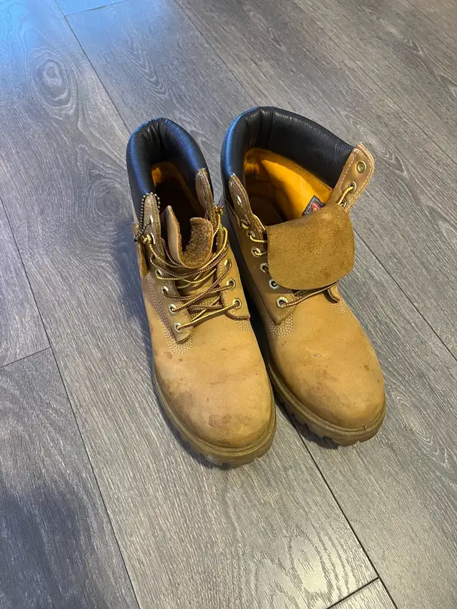 Wheat Timberlands  in Men's Shoes in City of Toronto - Image 2