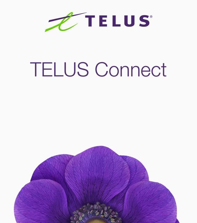 Telus Unlimited PureFibre Internet 500 in Other in Downtown-West End - Image 3