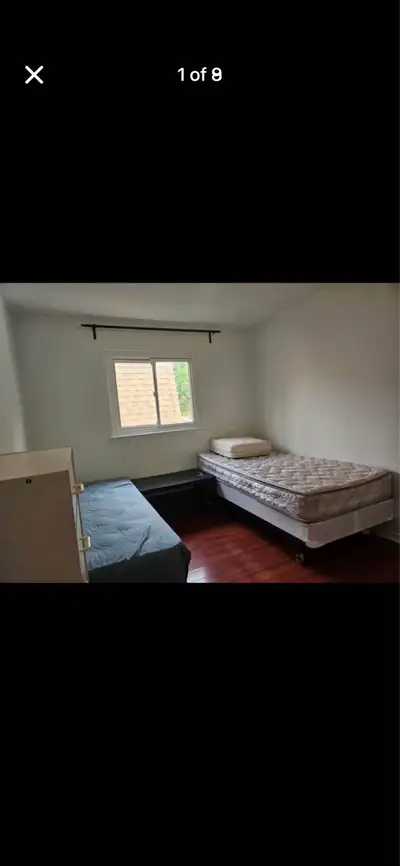 Fully furnished shared room available with two beds. One bed is already occupied by an Indian male t...