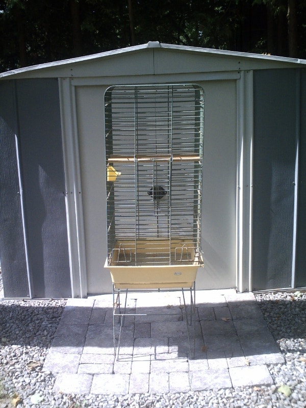 Bird Cages Accessories Kawartha Lakes Kijiji