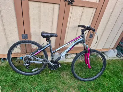 Schwinn tuned up ladies bicycle, View more