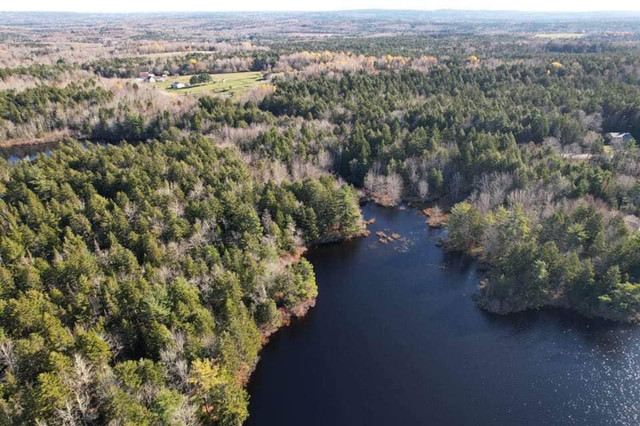 Lake Frontage 15 Minutes from Windsor in Land for Sale in City of Halifax - Image 3