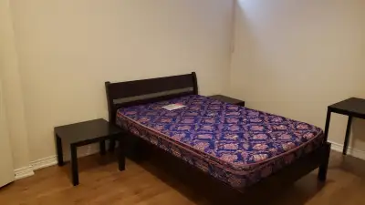 Yonge and Finch Basement Room Rental! NO PARKING