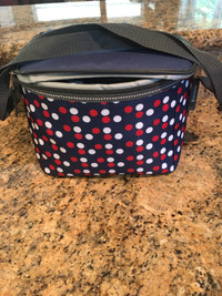 Insulated lunch cooler