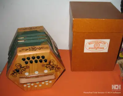 Concertina 20 Key/Accordion-Unique Burned Edelweiss In Wood -NEW, View more