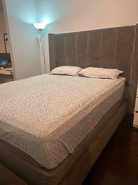 Moveout sale - Bed frame + Mattress