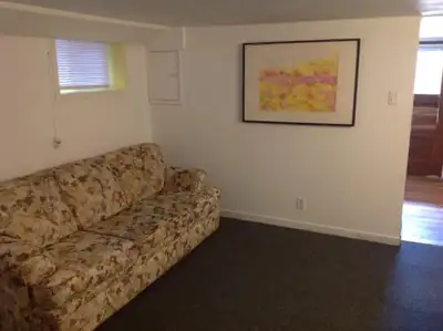 Newly renovated Big, beautiful, fully furnished, completely private, full one bedroom apartment on t...