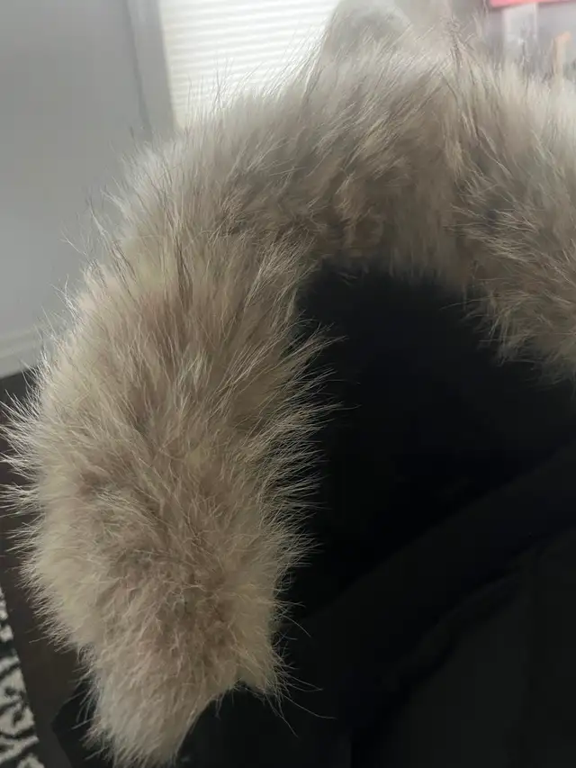 CANADA GOOSE PARKA in Women's - Tops & Outerwear in London - Image 5