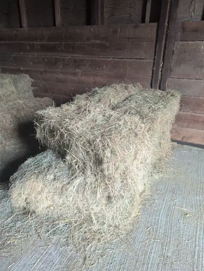 Bales of Hay (Last year's) Delivery Available, View more