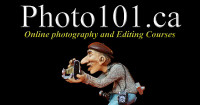 LIVE Interactive Photography Courses (Online)