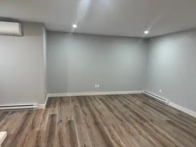 I bed, 1 Bath Basement Apartment For Rent