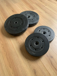 80 Lbs of weight plates