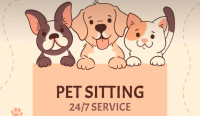 Dog Sitting Services