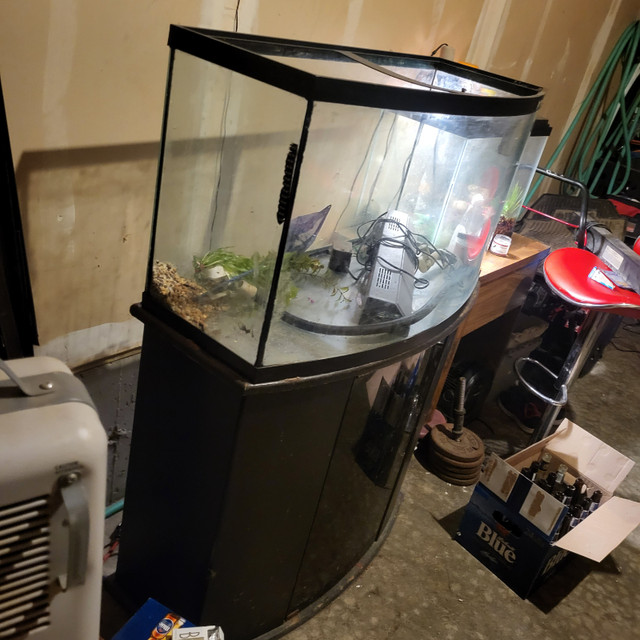 45 Gallon Bow Front Fish Tank and Stand in Accessories in Kitchener / Waterloo