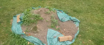 Free Fill, Stones & Wood, View more
