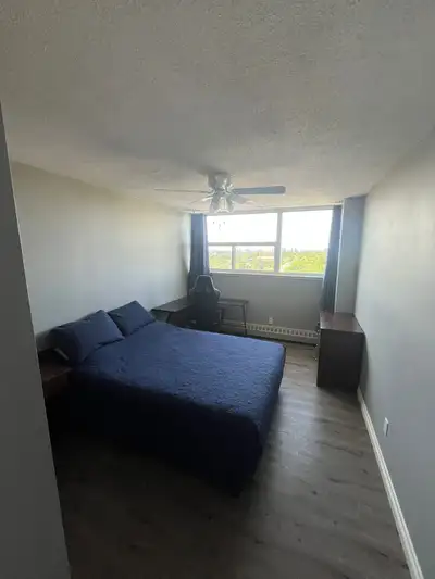 Shared Accommodation for rent for mature student or working prof