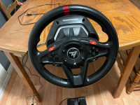 ThrustMaster Steering Wheel and Foot Peddle