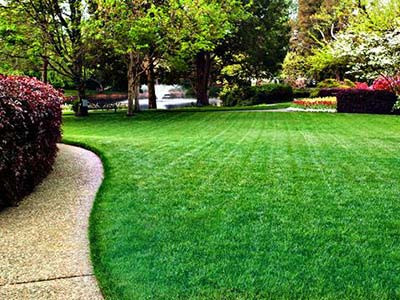 Lawn Care - 647 250 3367 - Grass Cutting & Trimming in Lawn, Tree Maintenance & Eavestrough in Mississauga / Peel Region - Image 3