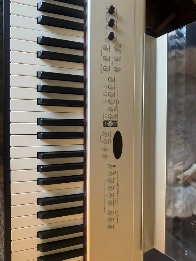 Roland Digital Piano FP-5 in Pianos & Keyboards in Calgary - Image 7