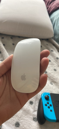 Apple Mouse Magic Mouse 