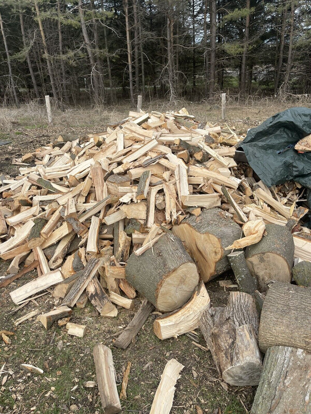 Seasoned Firewood Bagged or Bulk in Fireplace & Firewood in Oshawa / Durham Region
