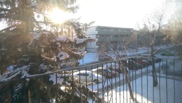 1 bedroom apartment in Sunalta