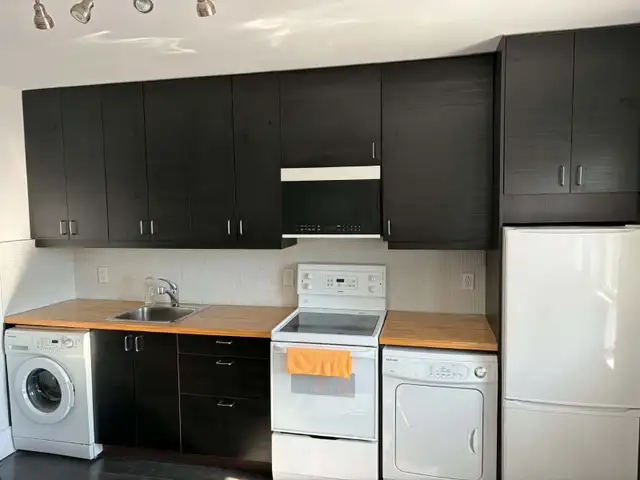 Beautiful Large Studio for Rent in Rosemont