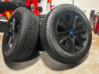 08. All season - Ford F-150 2024 Sports Black wheels and Contine