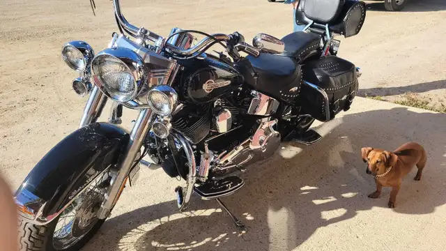 2004 Harley Davidson Heritage Softail  in Sport Touring in Winnipeg - Image 4