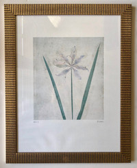 3  'Iris' framed pictures