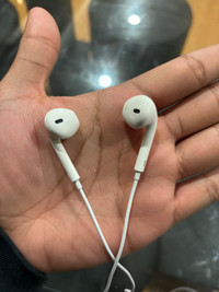 Apple EarPods C-Type