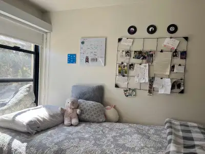 Looking For A Roommate***