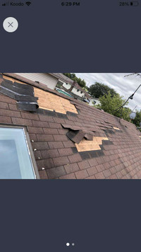 Roof Repairs, leaks, best prices