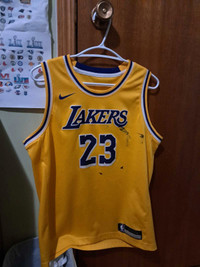 LA Lakers LeBron James Nike NBA Bball Youth Large Jersey 2018