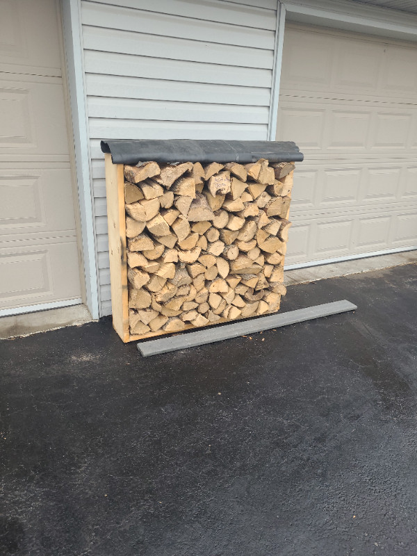 Firewood Ash in Other in Windsor Region - Image 4