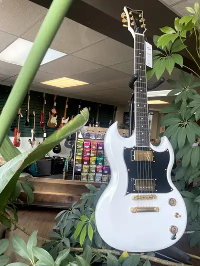 Schecter Zacky Vengeance - H6LLYW66D, View more